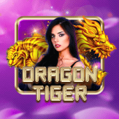 Dragon Tiger live game on PK7 App